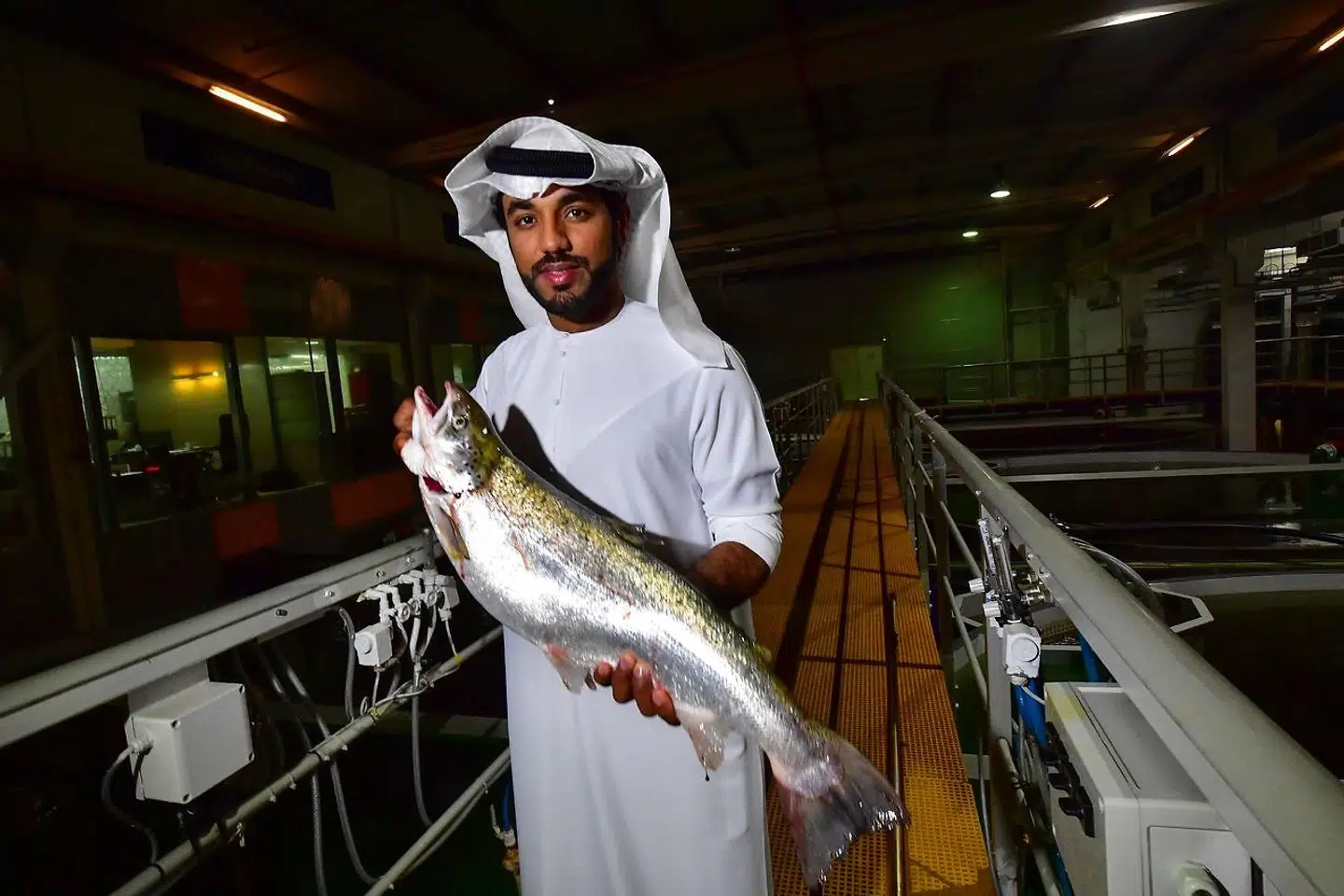 Bader bin Mubarak, chef for fiskefarmen i Dubai, den eneste i De Forenede Arabiske Emirater, med en velvoksen laks.