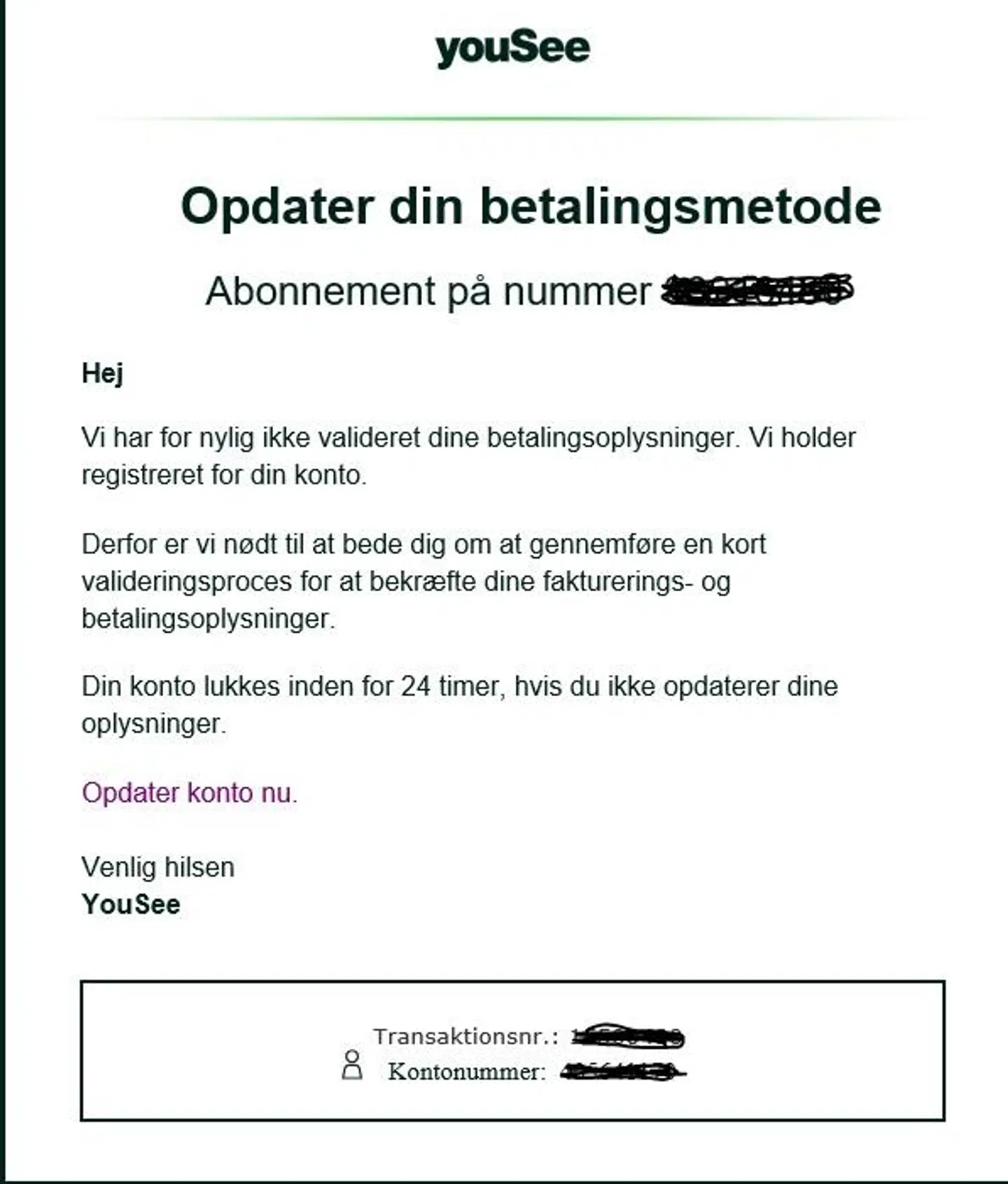 Sådan ser snydemailen ud. Folk, der får den, skal slette den med det samme.