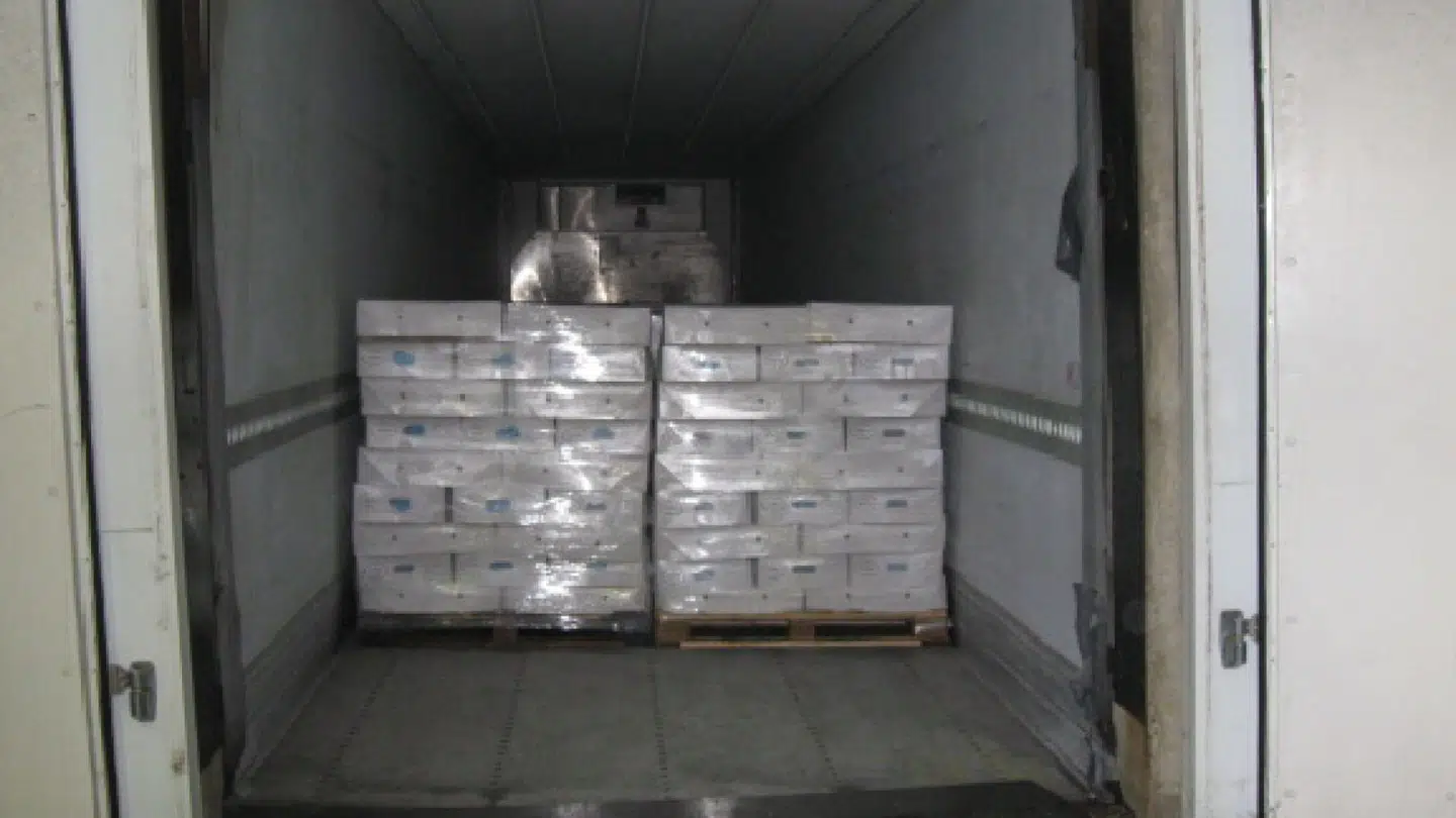 Kokainen var skjult i kød, der var læsset på paller i lastrummet på kølevognen.