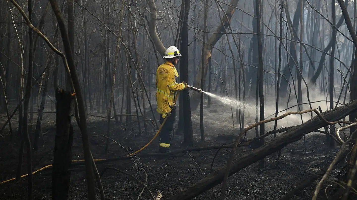 Her ses en brandmand i South Turramurra, tæt ved Sydney, New South Wales, Australia, den 12 November 2019.