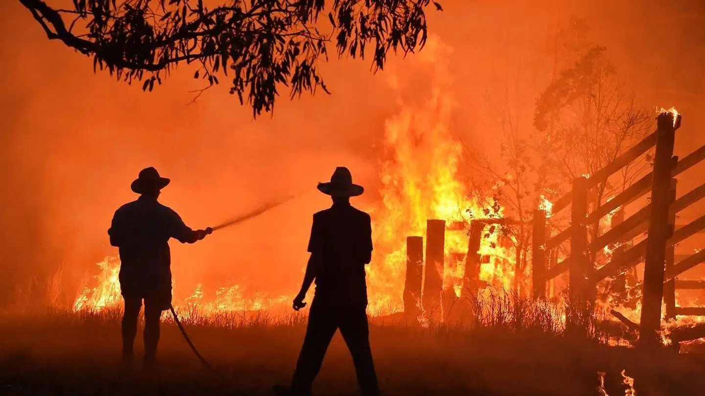 Her ses to borgere, der beskytter deres ejendom mod flammerne i Australien.