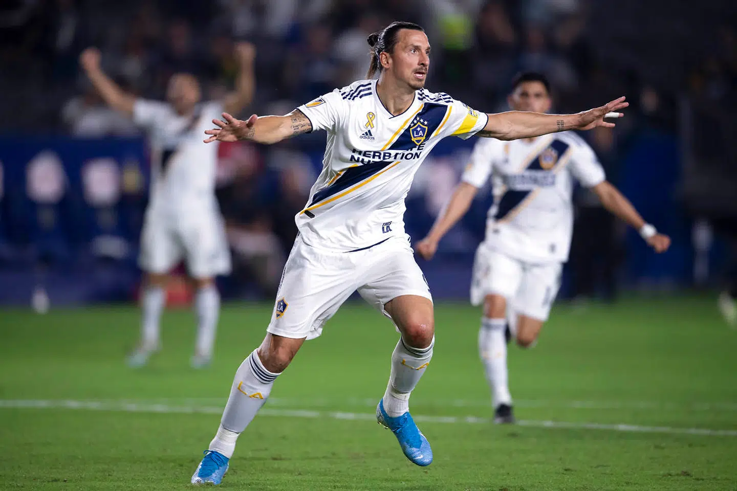 Zlatan Ibrahimovic kan være på vej til Bologna for at hjælpe sin kræftsyge ven, træner Sinisa Mihajlovic.