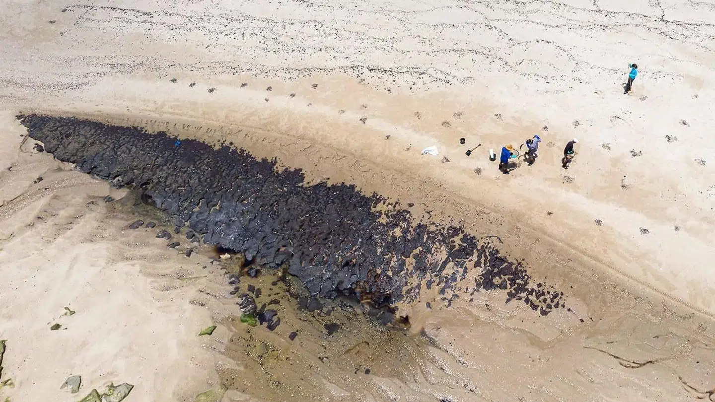 Strandene i Brasilien kæmper med olieforurening, og man kender ikke årsagen.