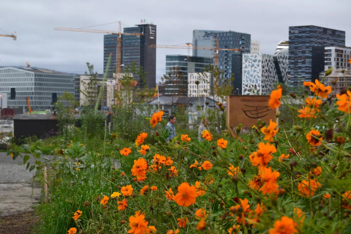 Byggeboomet i Oslo har sat sine spor – især langs havnefronten, hvor bl.a. højhuskvarteret Barcode knejser.
