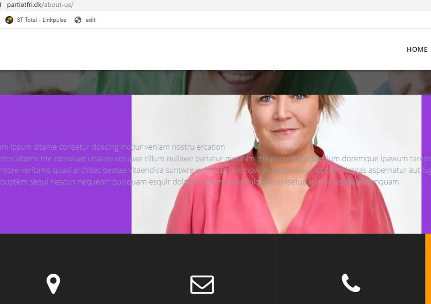 Dette screenshot er taget af B.T. lørdag aften. Nu er hjemmesiden Partietfri.dk lukket ned