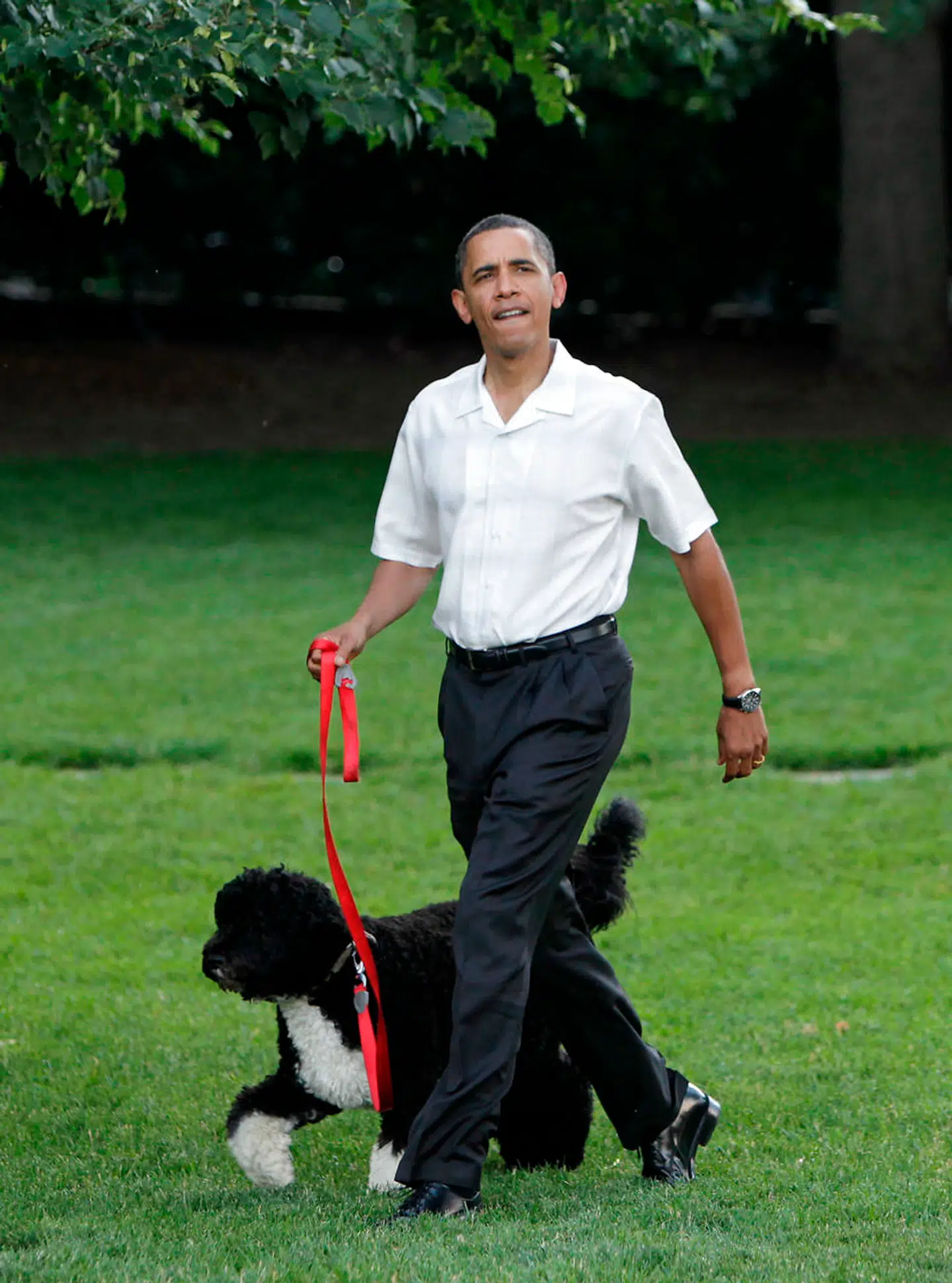 US President Barack Obama walks the first family's dog as he arrives at the Congressional Picnic on the South Lawn of the White House in Washington, DC June 8, 2010. AFP PHOTO / YURI GRIPAS