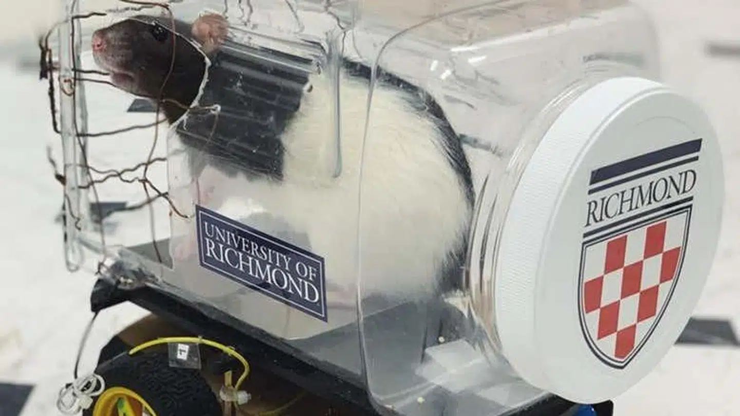 (Foto: Kelly Lambert/University of Richmond)