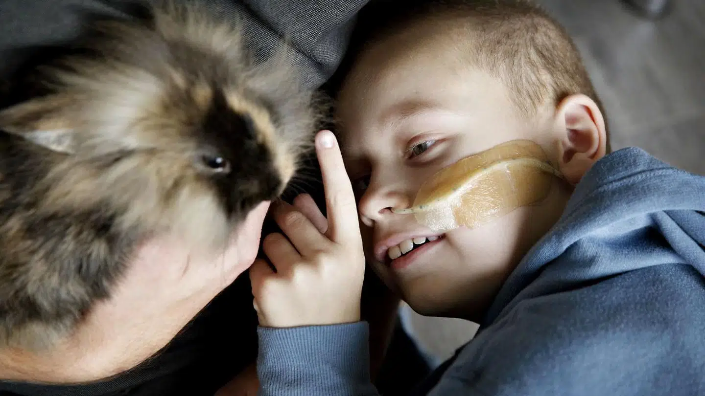 7-årige Magnus Funder Nielsen er meget glad for sin kanin, Fritz.