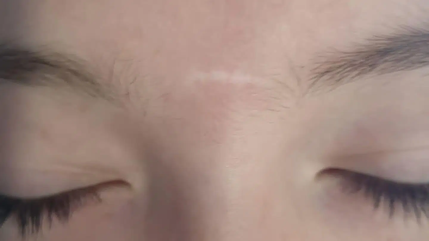 Her er Noahs ar, som det ser ud i dag.