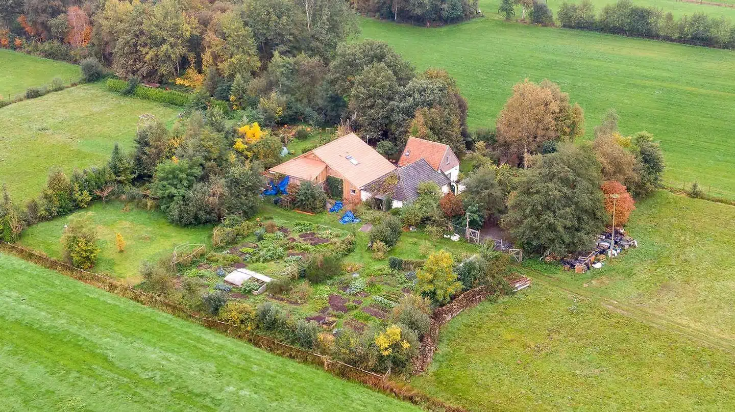 Her ses gården nær Ruinerwold i Holland.