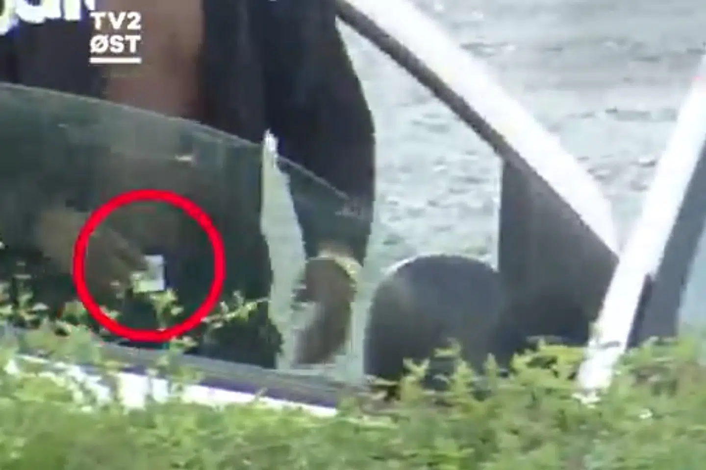 Optagelser fra TV2 Øst viser flere personer der foretager åbenlys handel med narko i Vordingborg.