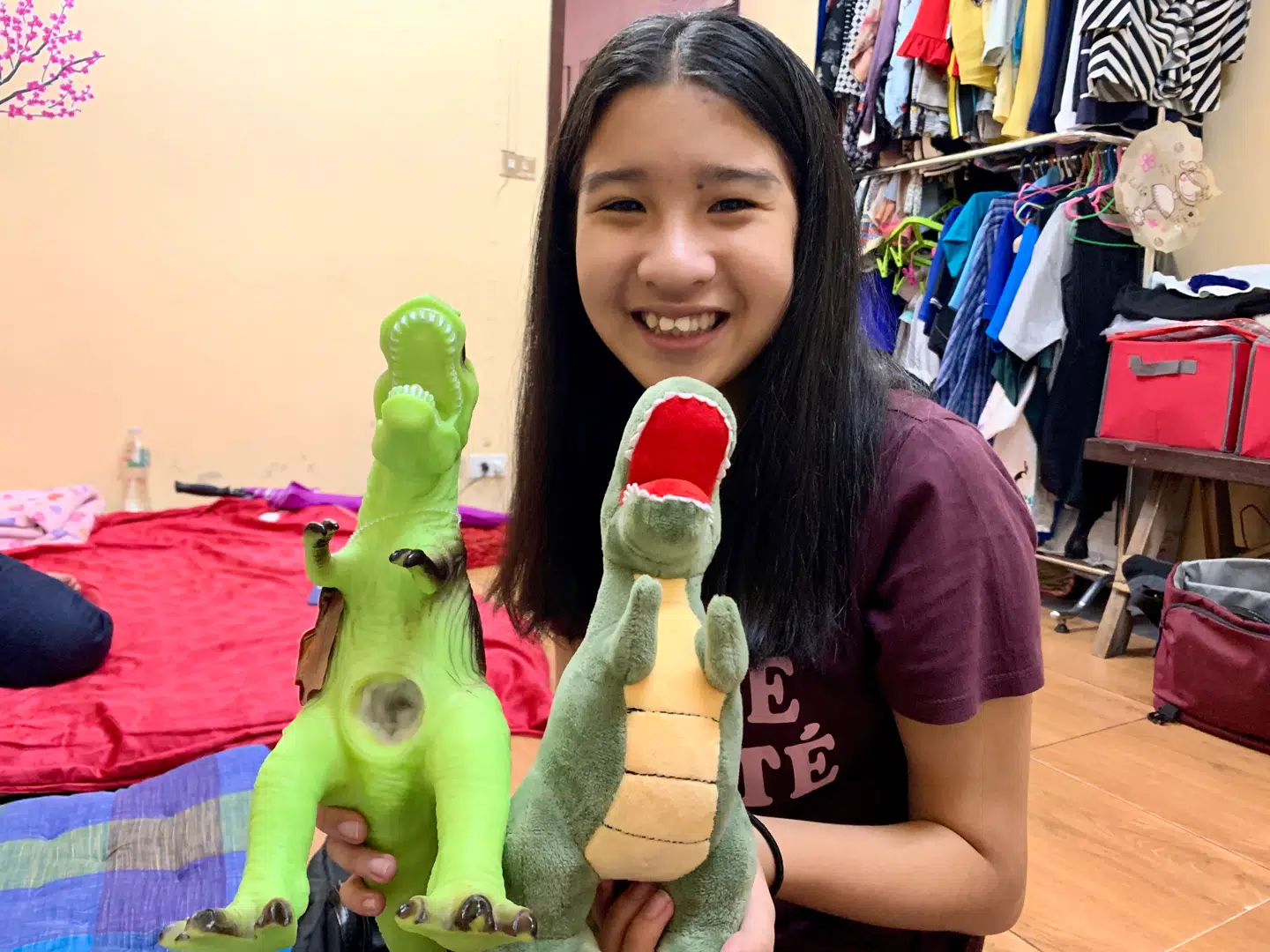 De to dinosaurer er en gave til lillebror Malick.