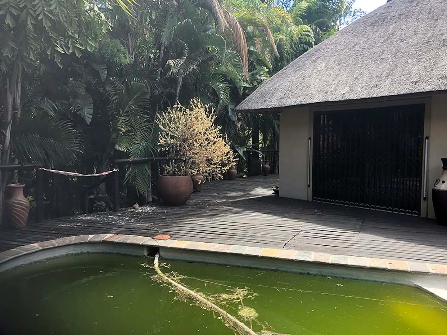 Poolen ved Britta Nielsens hus i Sydafrika. Foto: Auktionshuset Peter Maskell