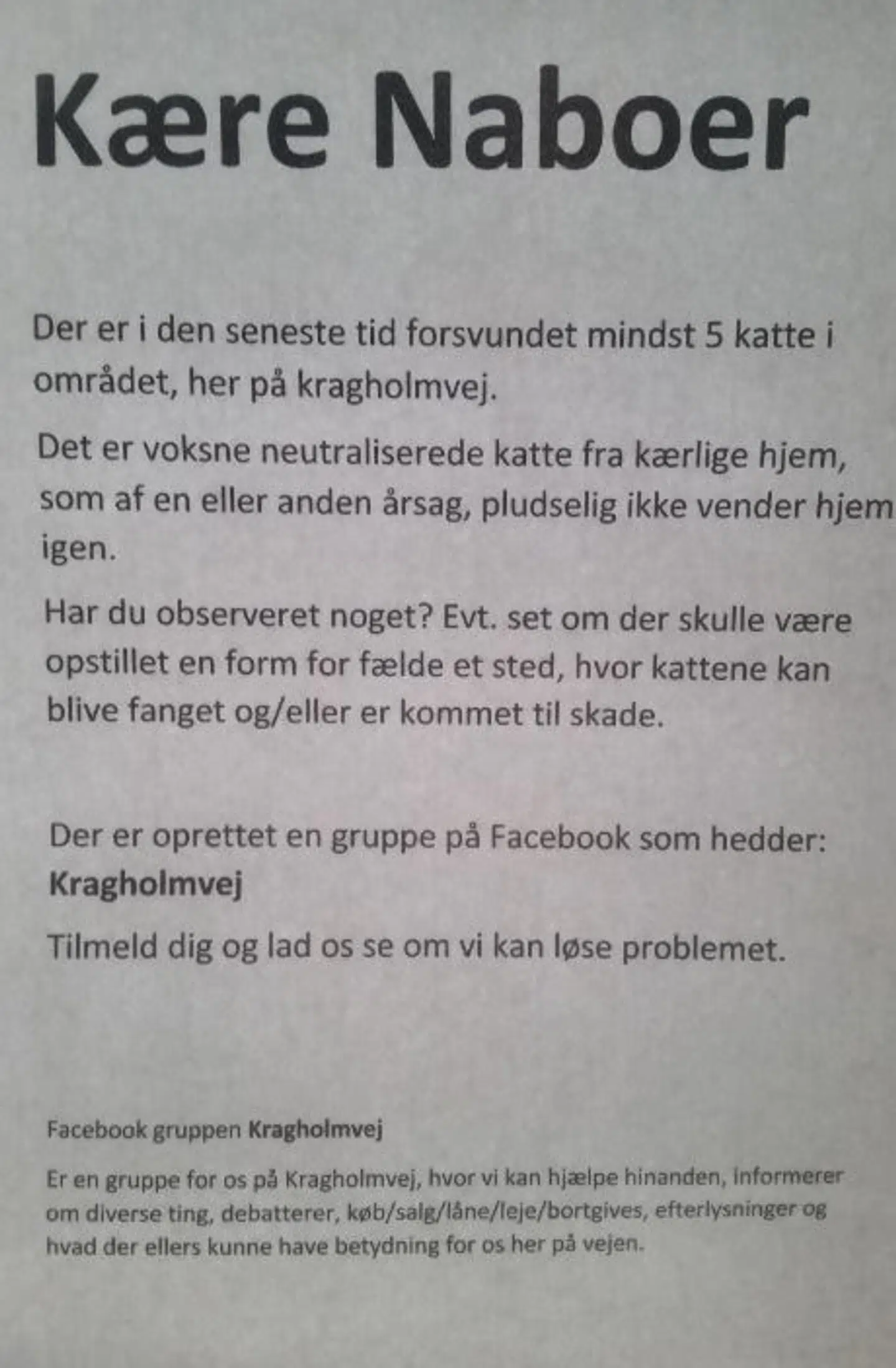 Beth Andersen har hængt denne seddel op flere steder omkring Kragholmvej i et forsøg på at finde frem til de forsvundne katte.