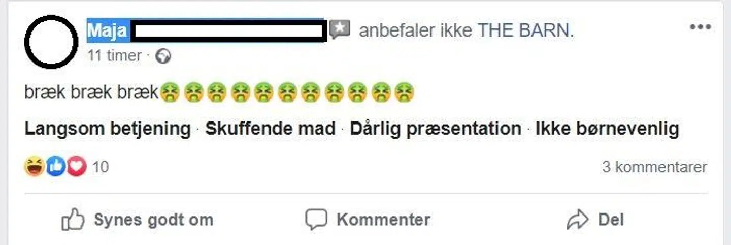 Maja har ikke besøgt restauranten, men givet stedet en dårlig anmeldelse. Hun ser det som en mulighed for at protestere over bestyreren, som er politiker for Nye Borgerlige.
