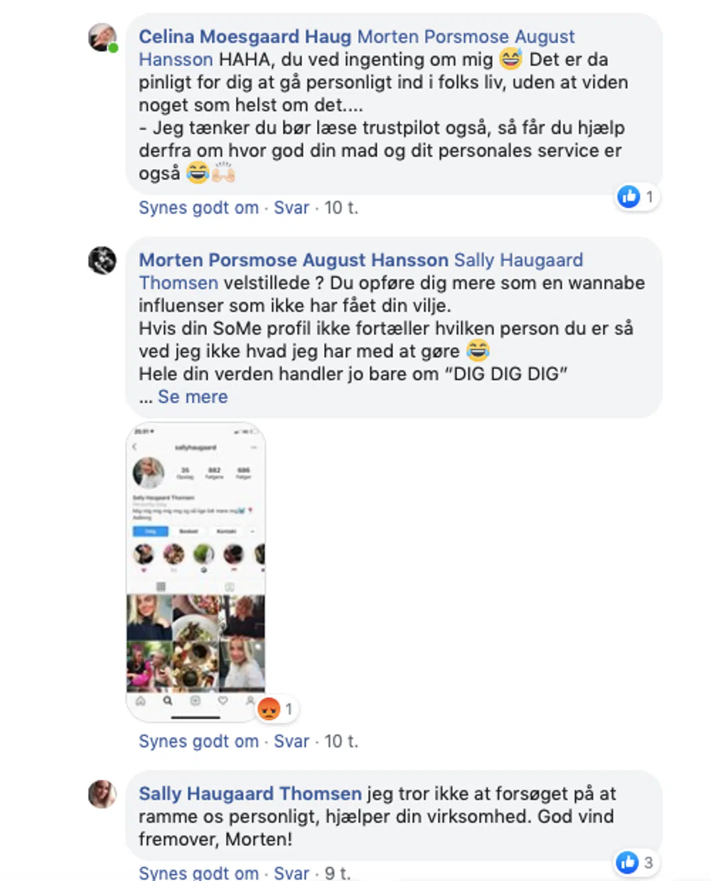 Screendump fra diskussionen.