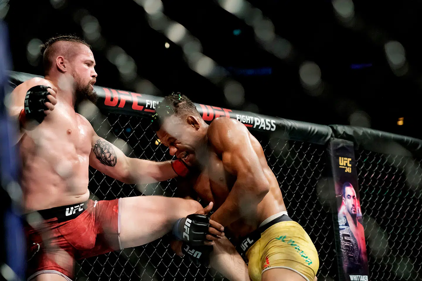 Nicolas Dalby og Alex Oliveira. UFC Fight Night i Royal Arena i København, lørdag den 28. september 2019.. (Foto: Claus Bech/Ritzau Scanpix)