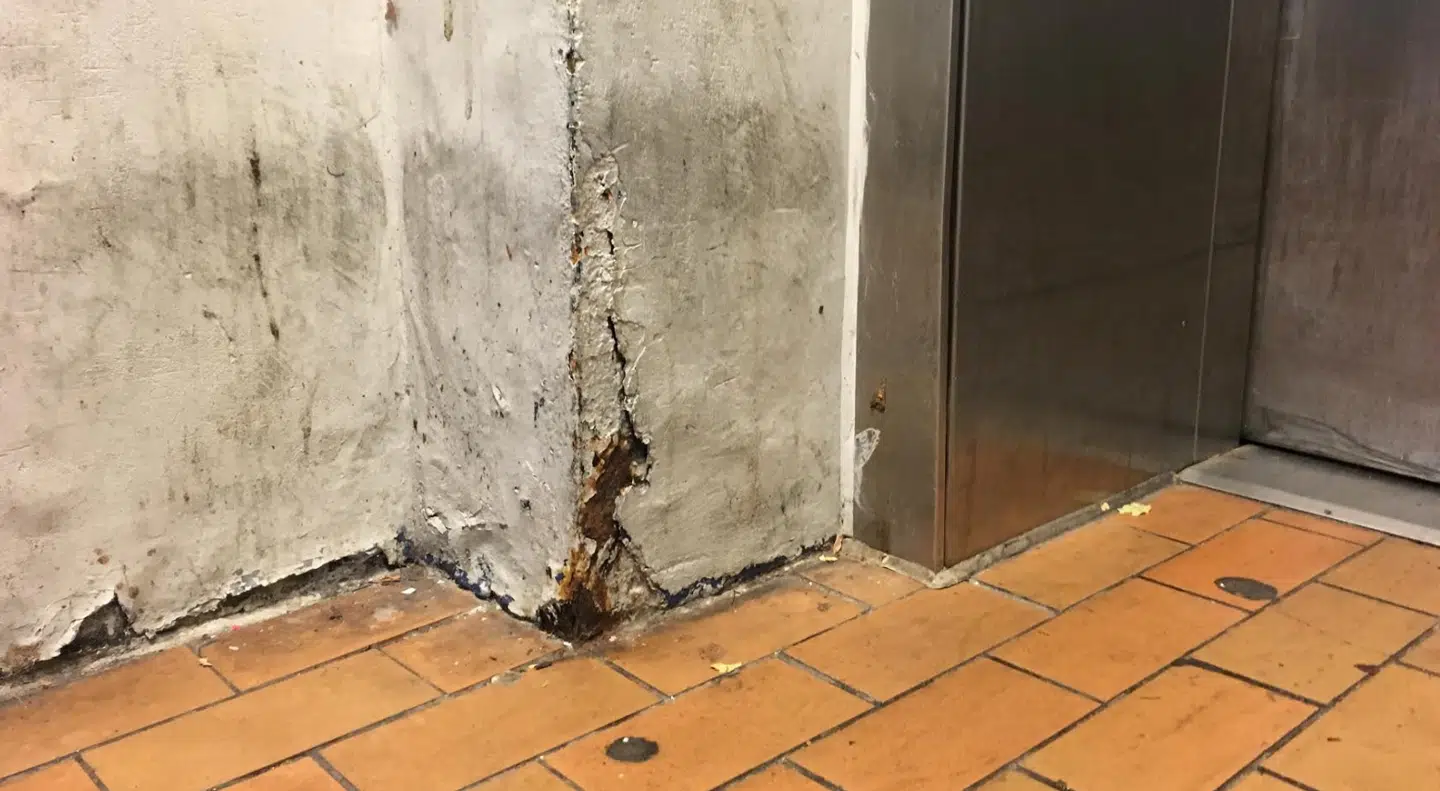 Flere steder på Glostrup Station er der tydeligt slitage på stationens vægge.