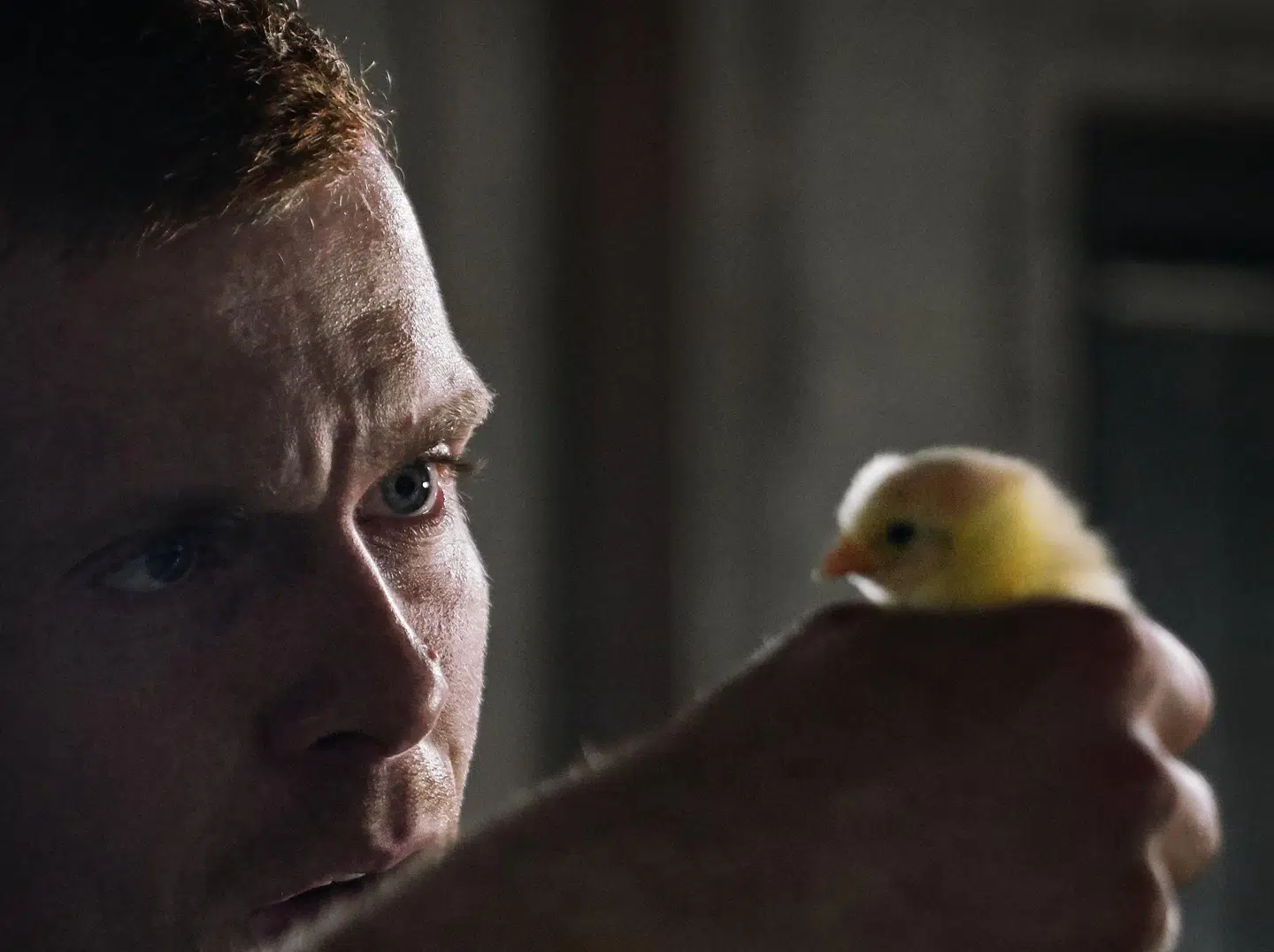 Det er ikke kun mennesker, Mike slår på i serien.