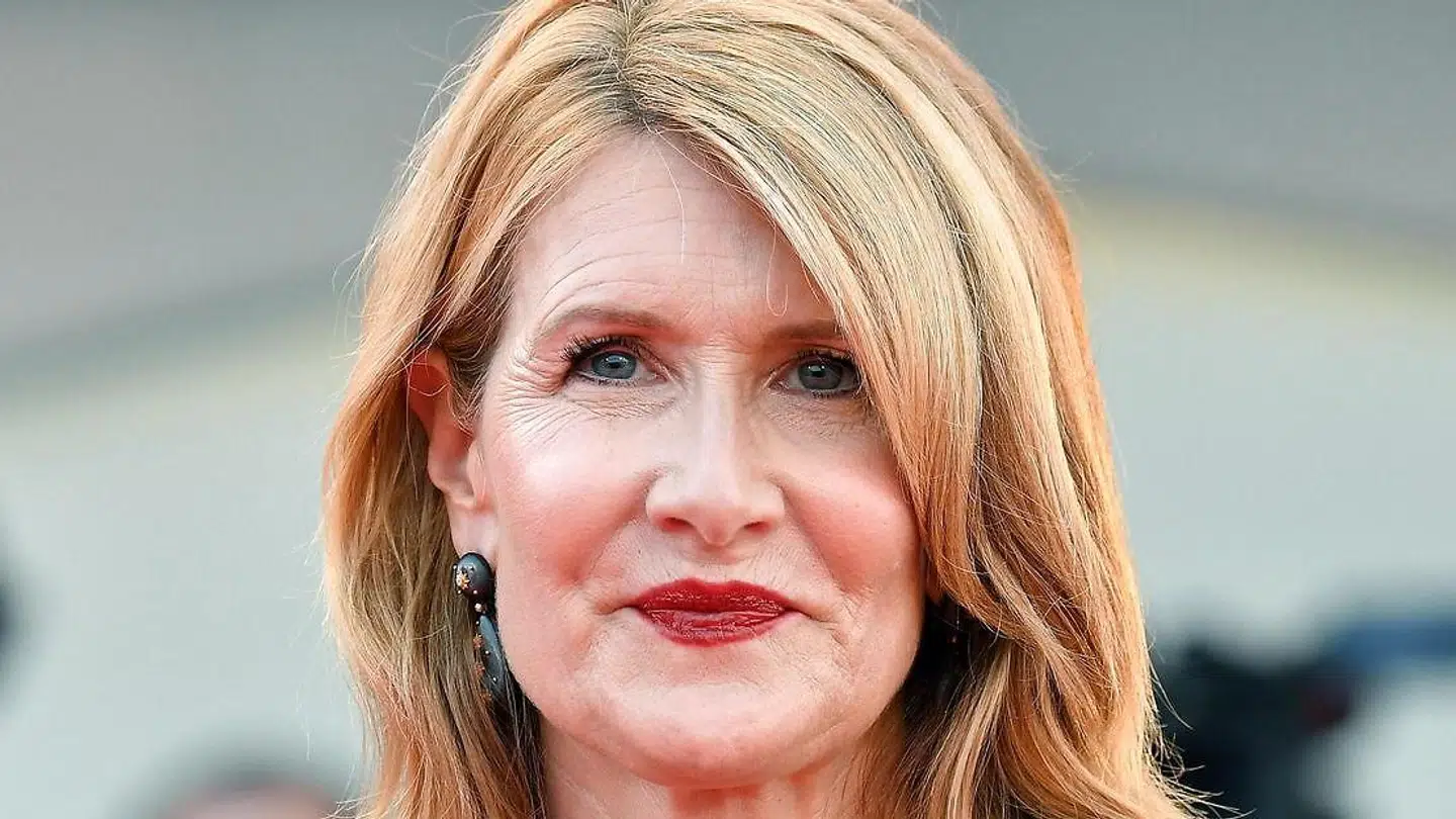 Arkivbillede. Laura Dern.
