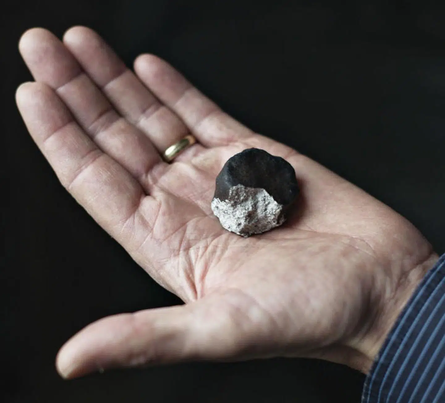 Henning Haack, lektor ved ved Statens Naturhistoriske Museum og ansvarlig for statens meteroitsamling, viser et stykke af meteoritten fra Ejby. (Foto: Emil Hougaard/Scanpix 2016)