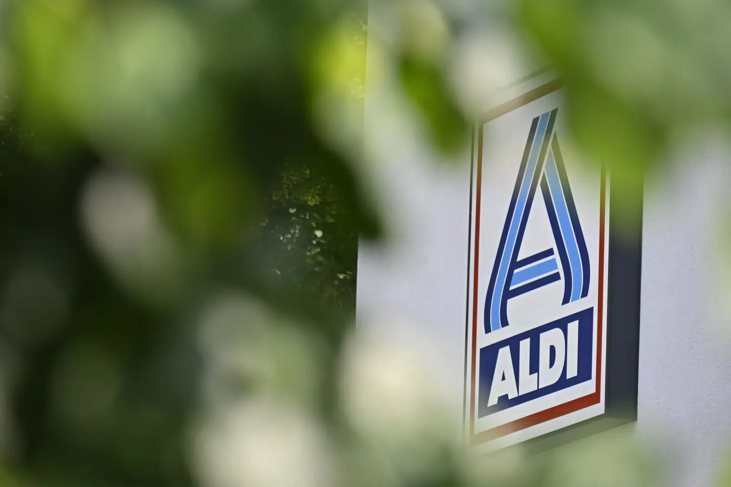 Supermarkedskæden Aldi tilbagekalder brændenælde-te af mærket 'Westminster'. (Arkivfoto) Tobias Schwarz/Ritzau Scanpix