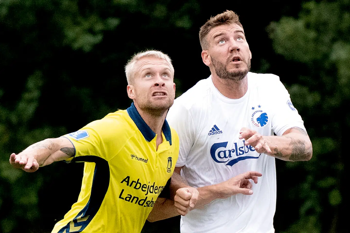 Nicklas Bendtner i kamp med en Johan Larsson, der ligeledes er vendt tilabge til dansk fodbold i dette transfervindue.
