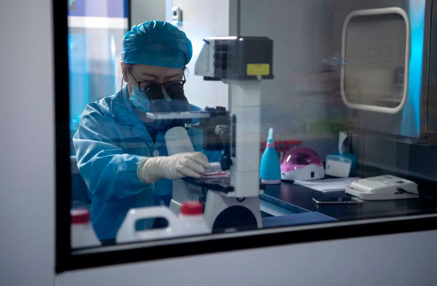 Det næste projekt for videnskabsfolkene hos Sinogene bliver at finde ud af at klone pandaen.