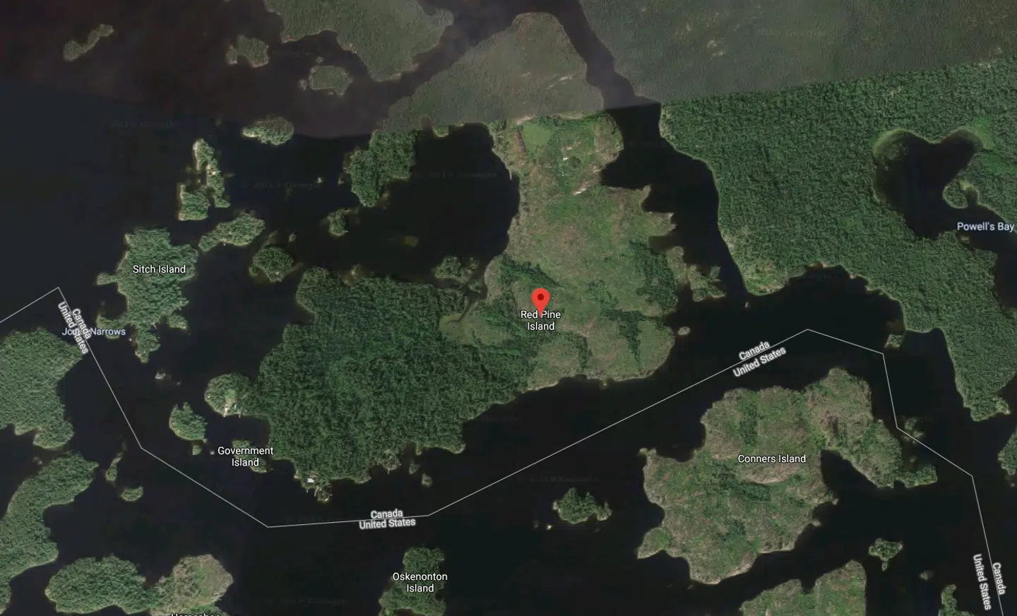 Bjørnen dræbte den 62-årige Catherine Sweatt-Mueller på øen Red Pine Island, som ligger på grænsen mellem Canada og USA.