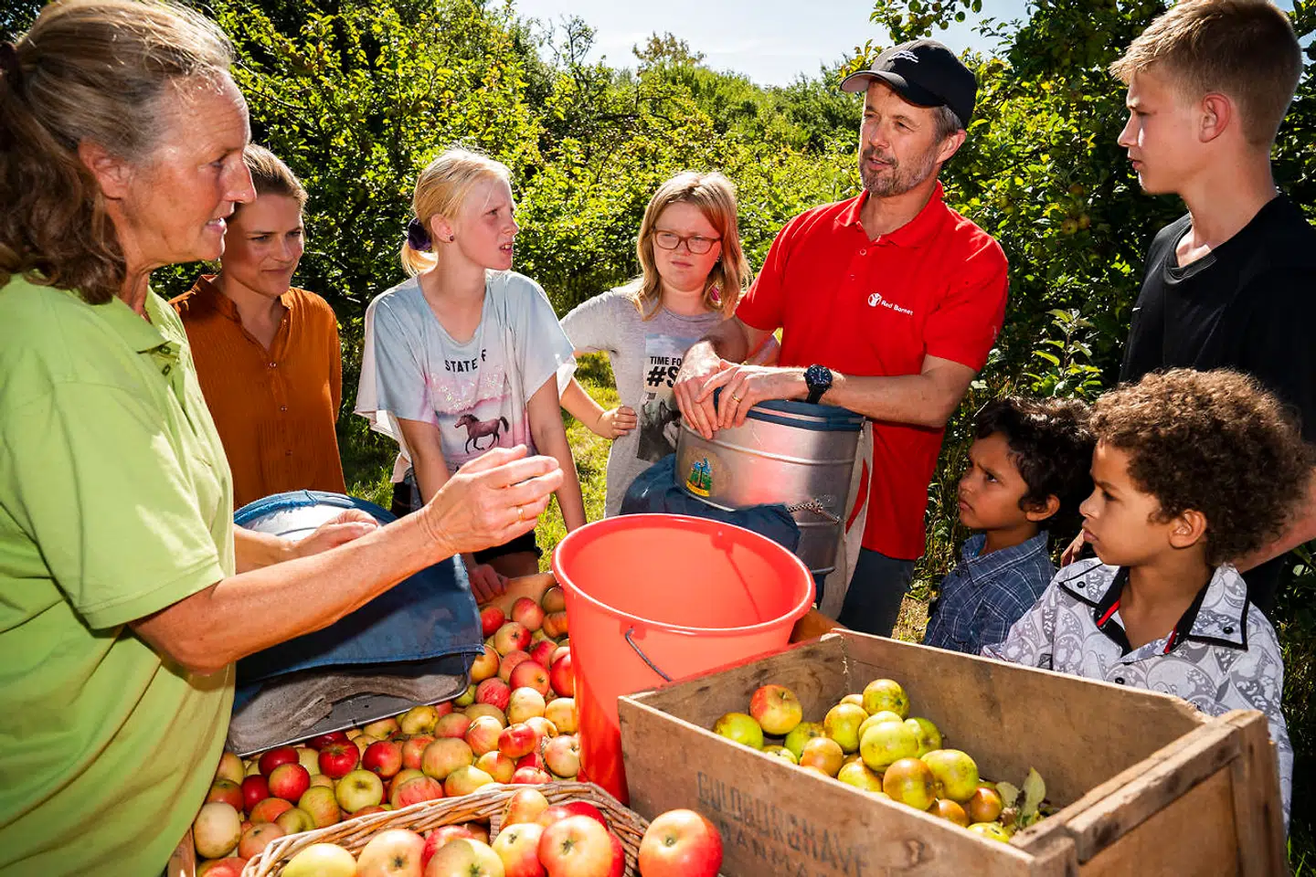 Kronprins Frederik har også været i gang de seneste uger. Her ses han forrige lørdag, hvor han plukkede æbler med Red Barnets familieoplevelsesklub på Fejø.