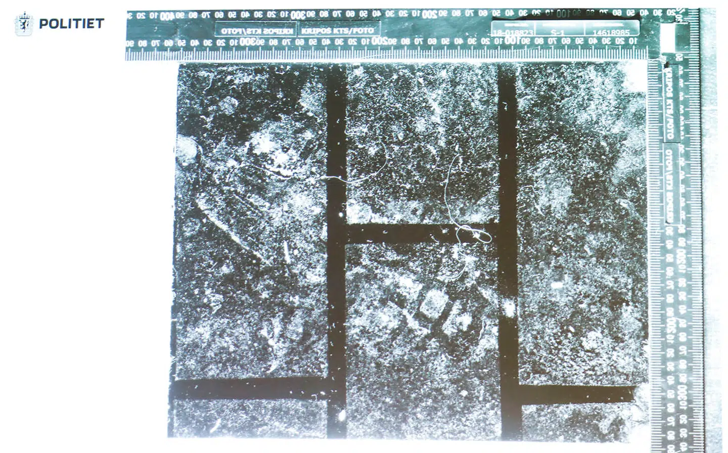 Her ses aftrykket af skoen, der blev fundet i nærheden af Anne-Elisabeth Hagens hus.