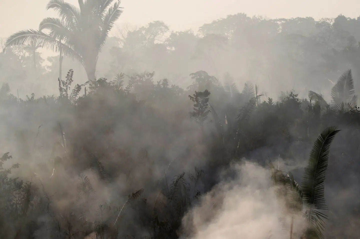 Brandene i Amazonas har nået et rekordhøjt antal melder NASA på baggrund af deres satellitovervågning.