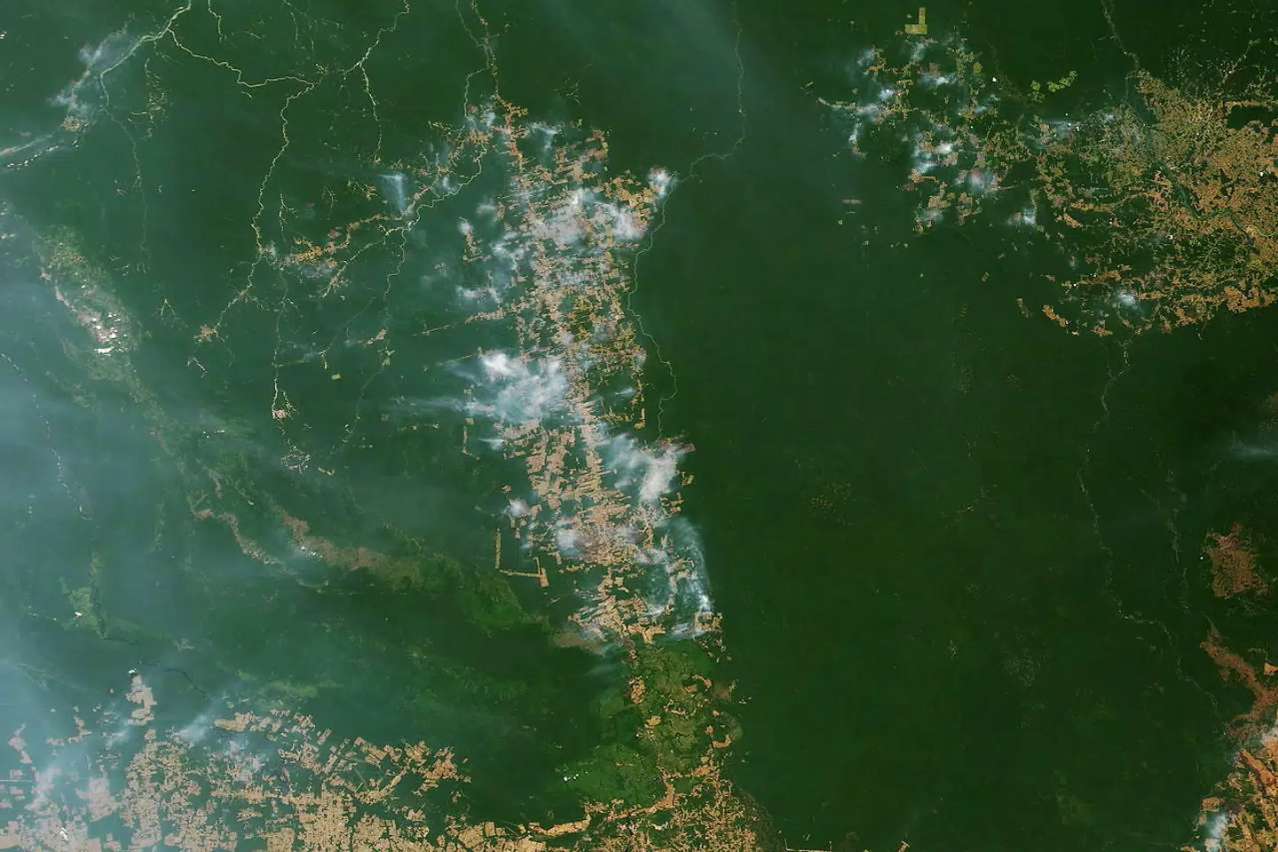 Brande i nærheden af den brasilianske delstat Para, fra 19. august.