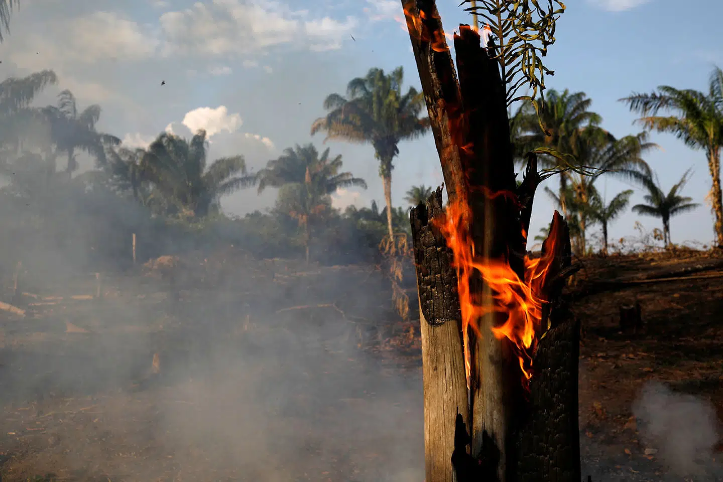 Alene den seneste uge er der registreret 9500 skovbrande i Amazonas.