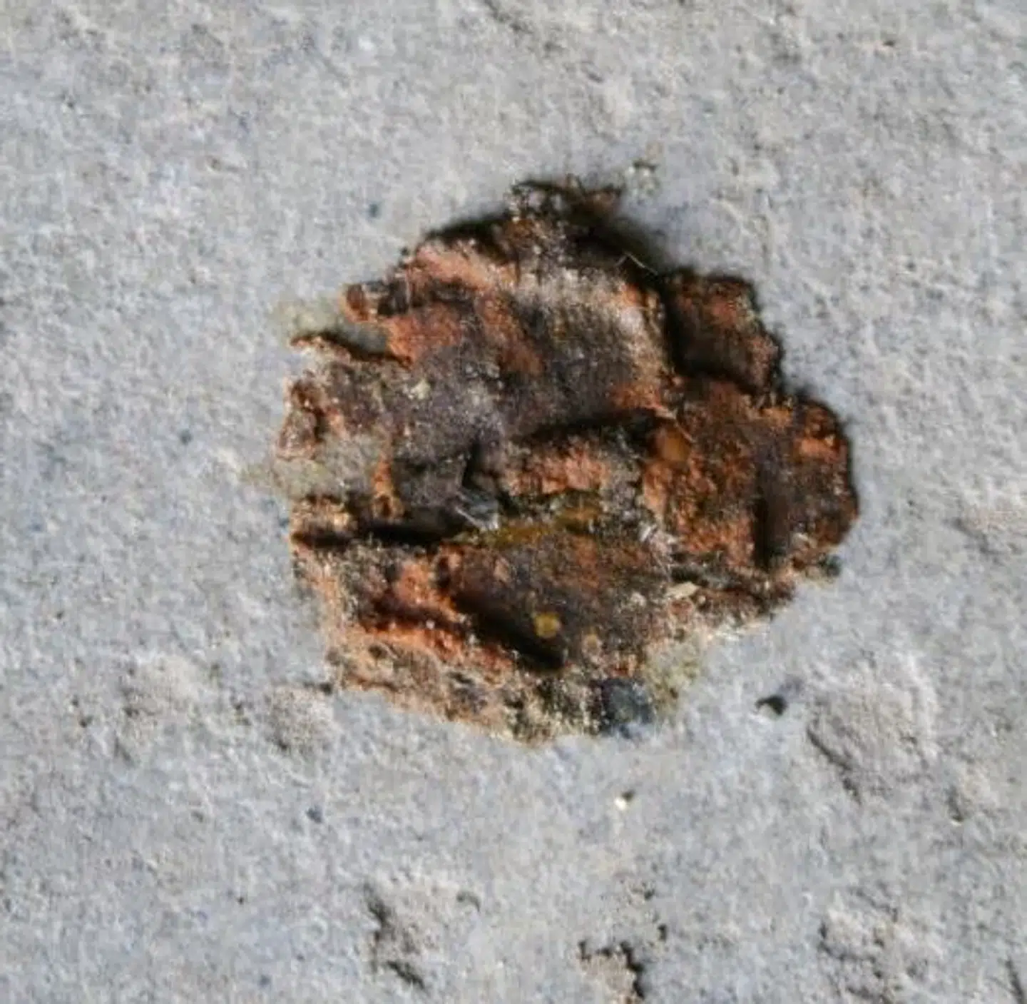 Fodaftryk efterladt på cementgulvet i den opbrudte garage.