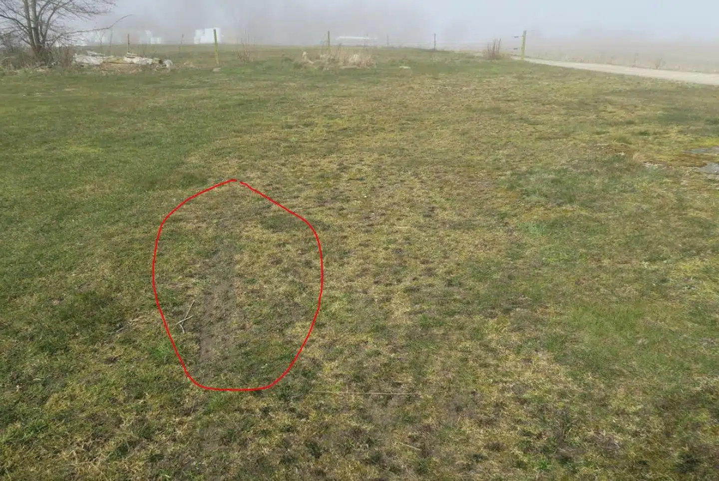 Dækaftryk i det våde græs efter det køretøj, som sandsynligvis er blevet brugt til at bugsere Porschen væk på.