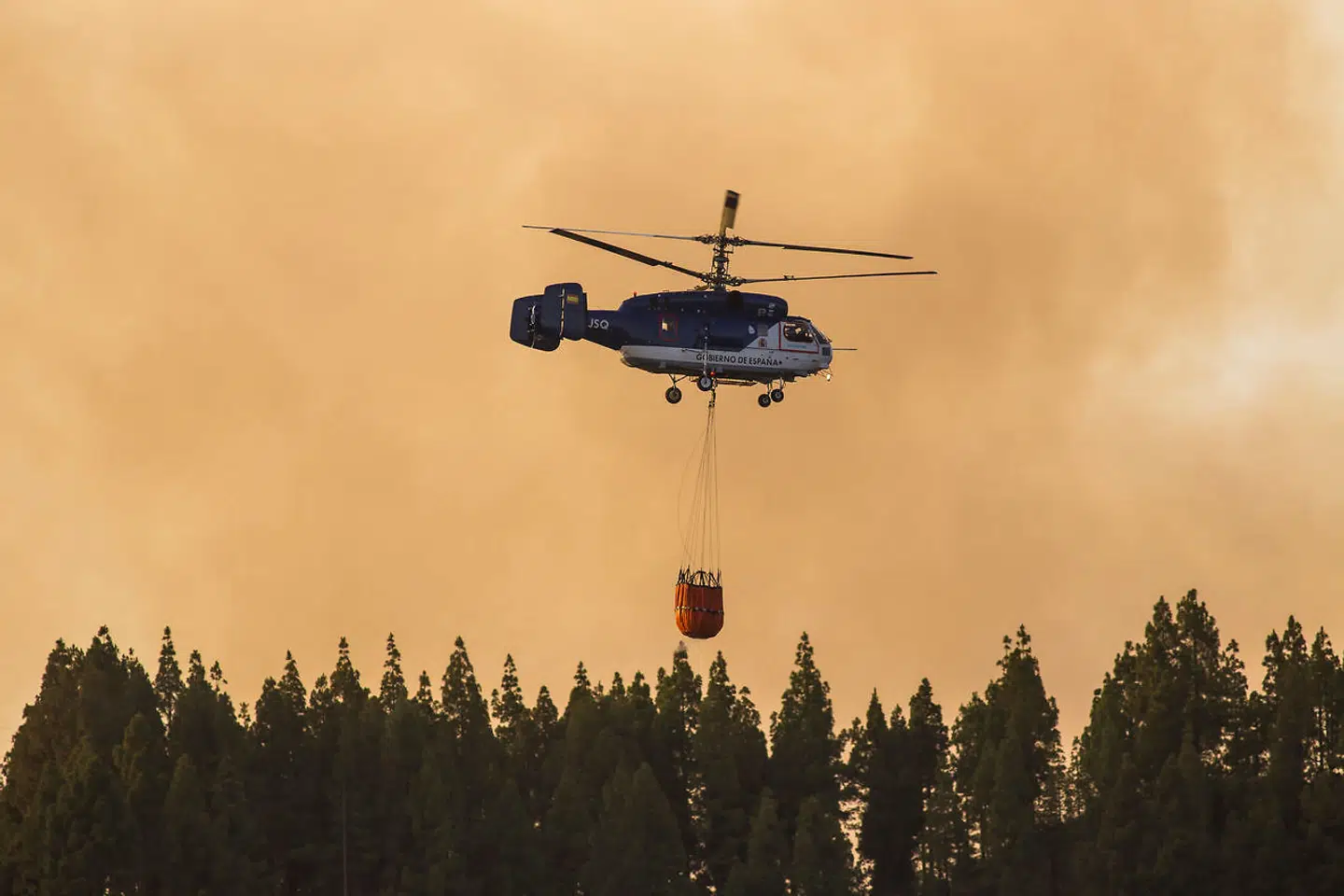 2.000 personer er evakueret på grund af skovbrandene. (Foto: Borja Suarez/Reuters)