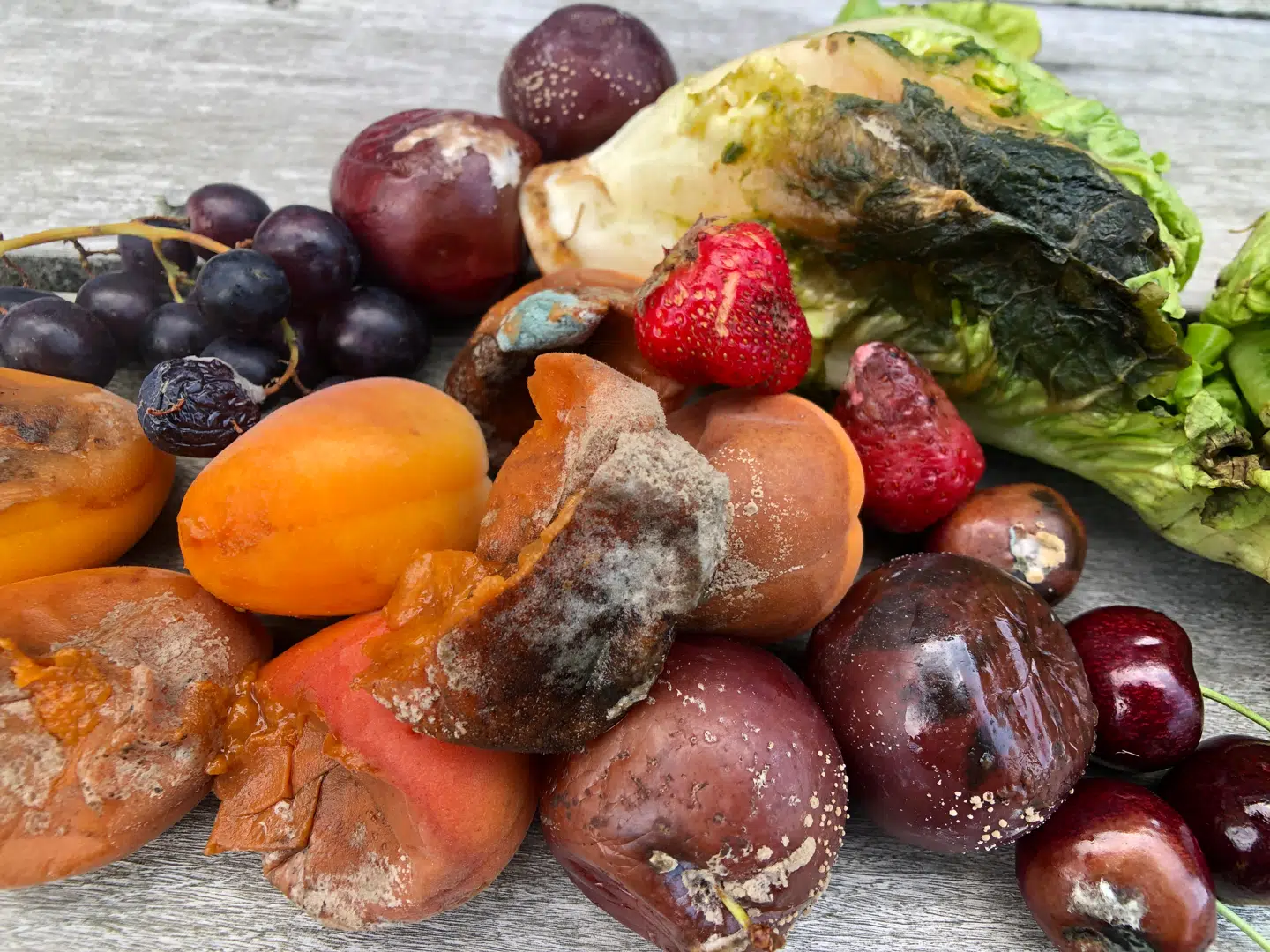 B.T. tog ud i 11 udvalgte supermarkeder i hovedstadsområdet for at se, om vi kunne finde muggen frugt og grønt. Alle varerne på billedet blev købt inden for få timer.