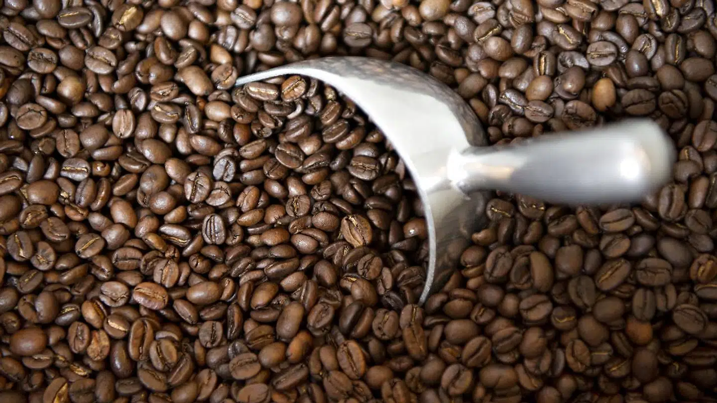 Det kan ikke længere betale sig at være kaffebonde, da priserne på kaffebønner presses i bund.