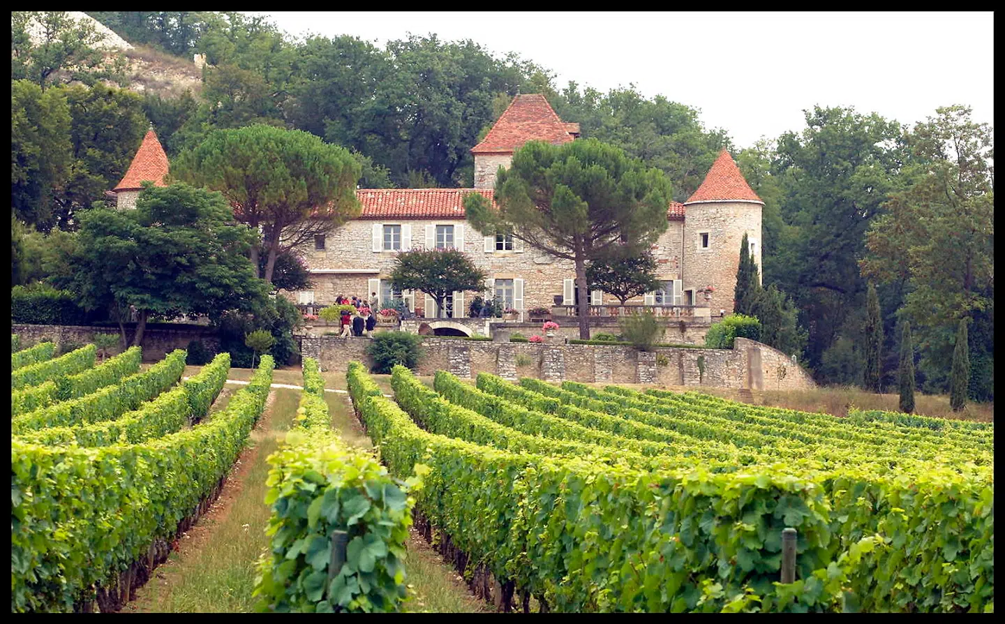 Her ses det kongelige vinslot Château de Cayx.