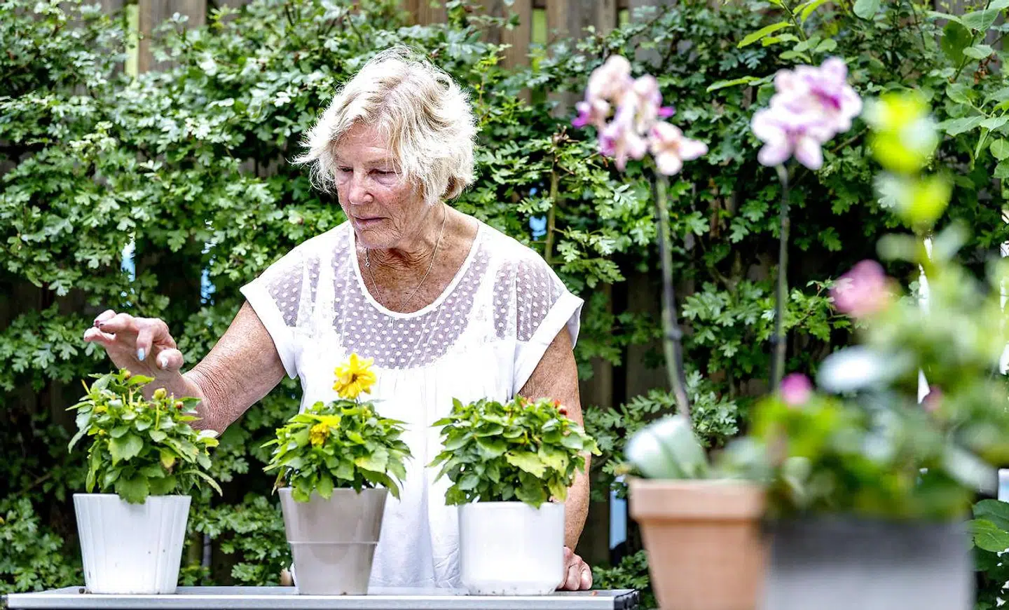 Ulla og hendes naboer sad i deres hyggelige gård i Espergærde, da en mand overfaldt dem, skubbede en ældre mand omkuld, så han fik en øjenskade, smadrede alle Ullas blomsterkrukker og truede hende med at kaste en mursten i hovedet på hende. Fire beboere ringede uafhængigt af hinanden til politiet, men de havde ikke tid til at komme.