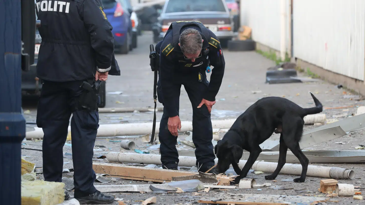 Politiet undesøger sprægningen med en bombehund. Foto: Steven Knap.