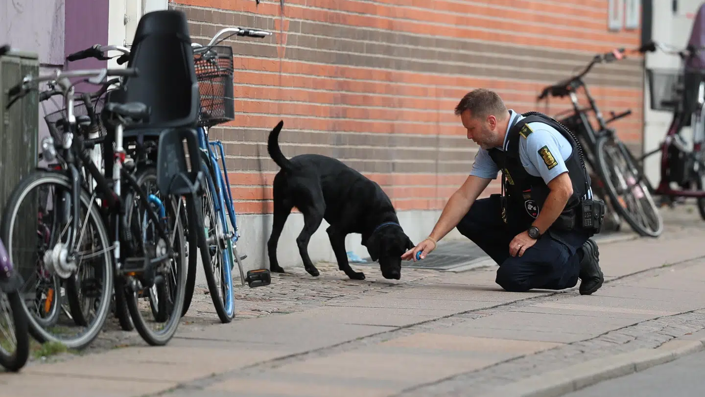 Her ses politiet i færd med at undersøge området ved Tagensvej og Vølundsgade, efter de har fået anmeldelse om et skyderi.