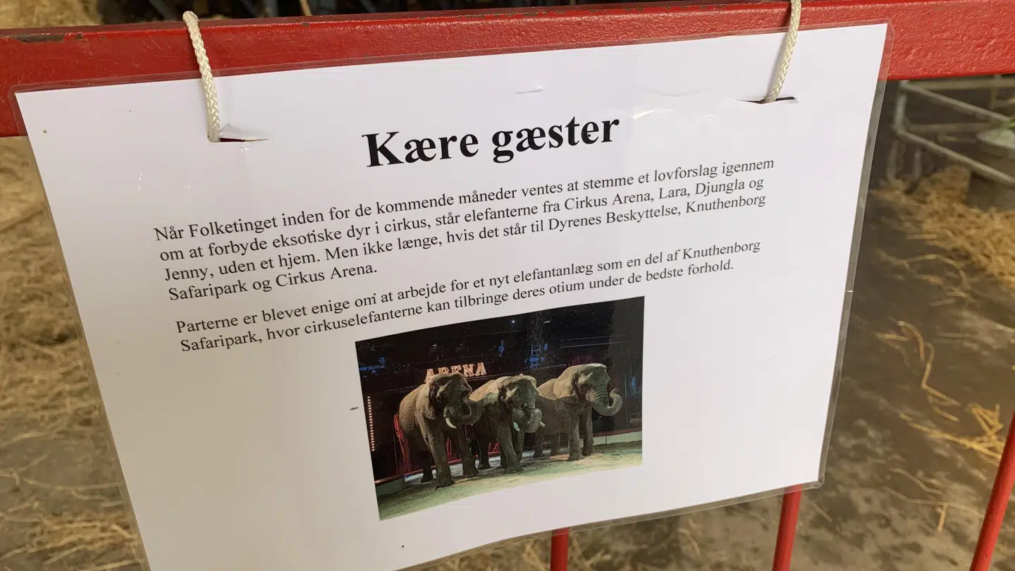 Hvor længe der skal gå, før elefanterne kan komme til Knuthenborg Safaripark er stadig uvist.