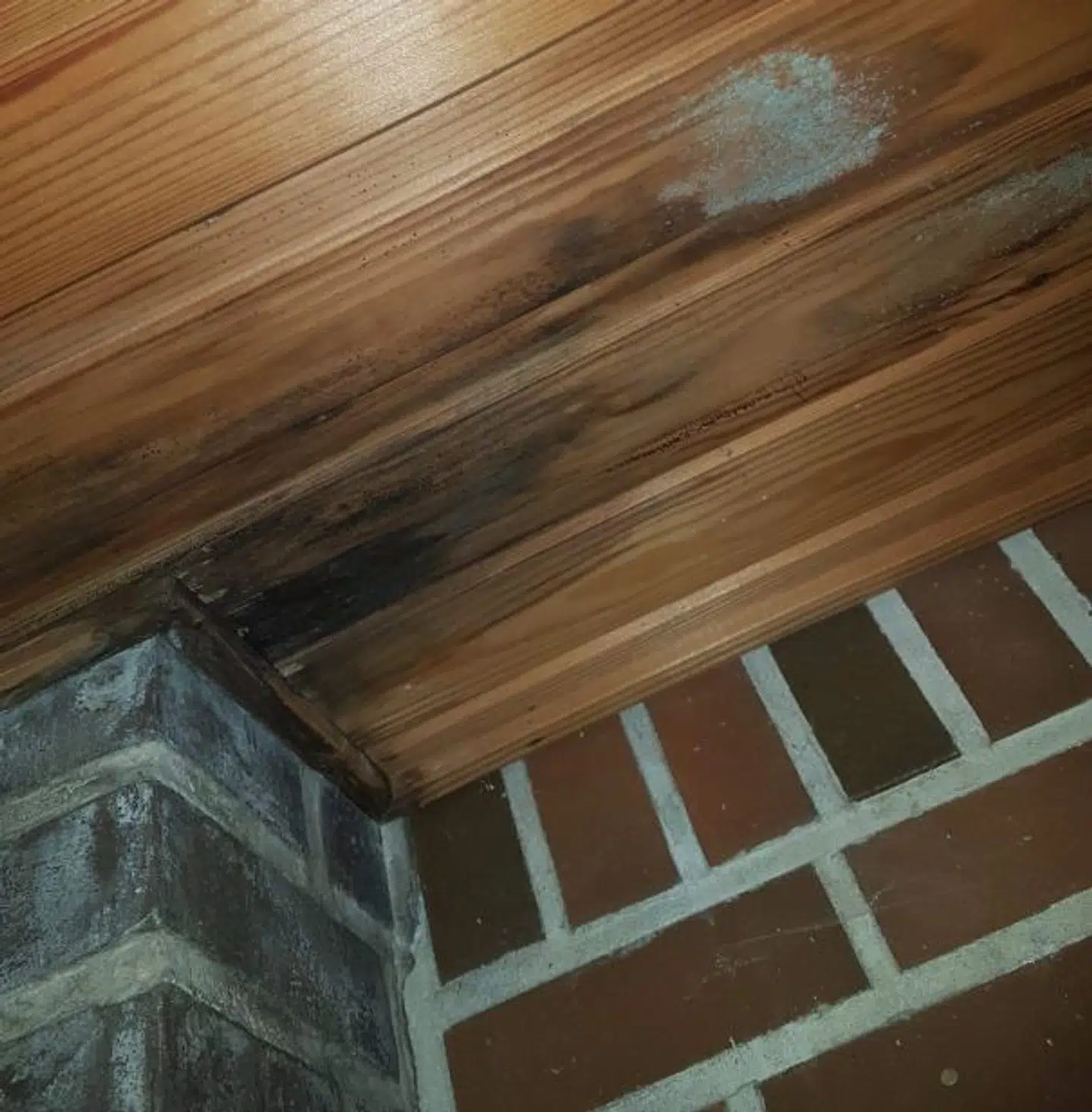 Sådan så et hjørne af loftet ud inde i det sommerhus, familien lejede.