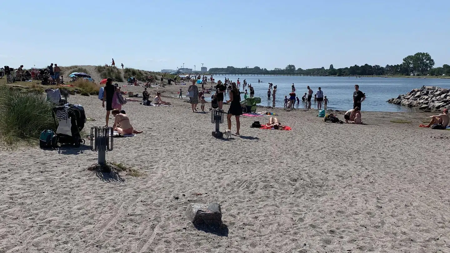Amager Strandpark, onsdag den 24. juli 2019. Foto: Amanda Mortensen.