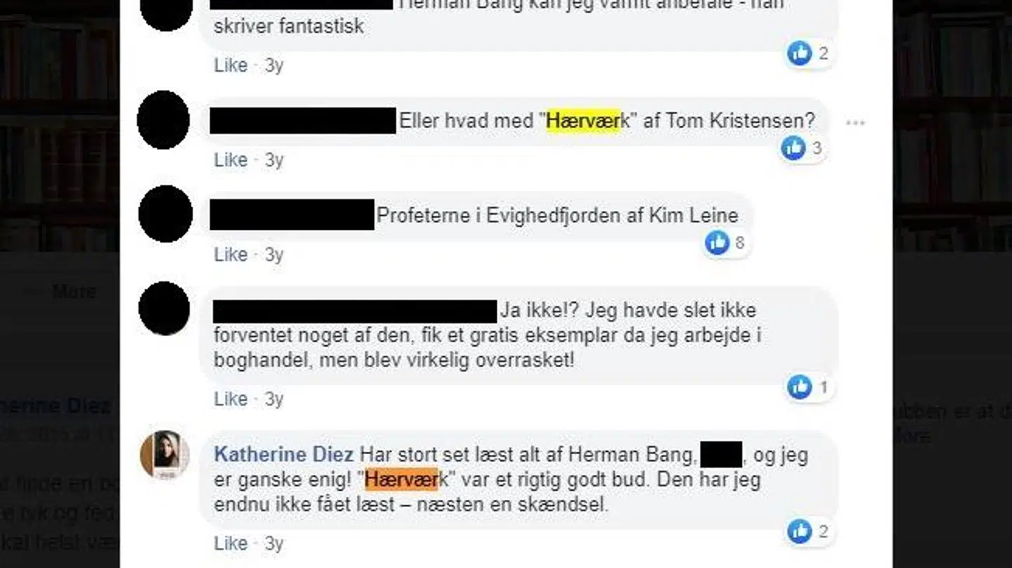 Her ses den kommentar, Katherine Diez skrev til sit eget opslag. Kommentar er skrevet 28. juli 2015.