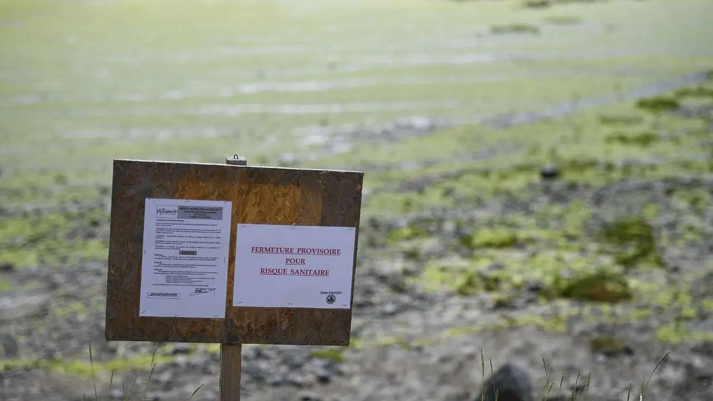 Skilte, der advarer mod giftig gas, er sat op på flere strande i Frankrig.