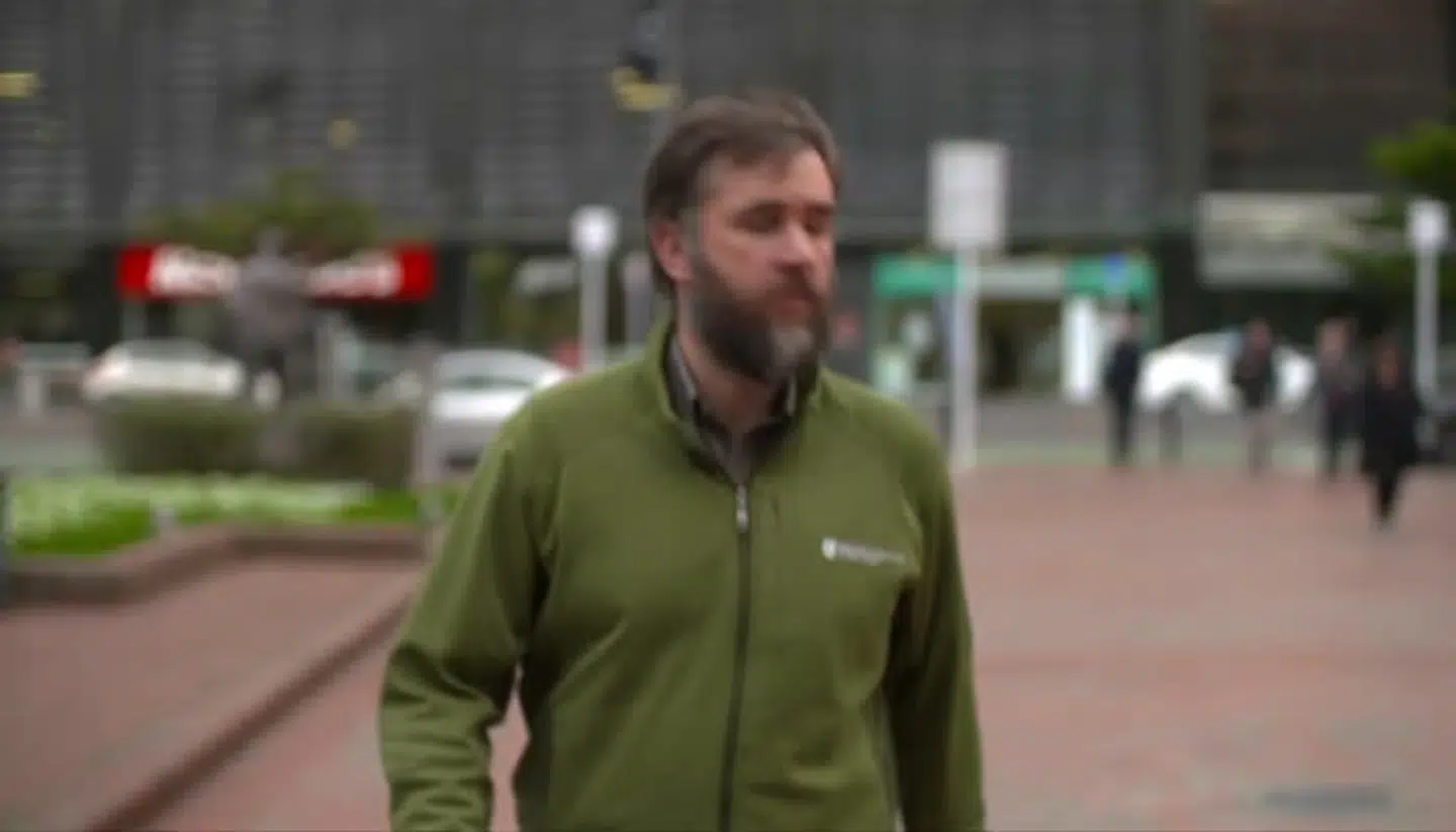 »Fuglene var ved at nærme sig ynglesæsonen og ledte efter et godt sted at bygge rede,« siger Jack Mace.