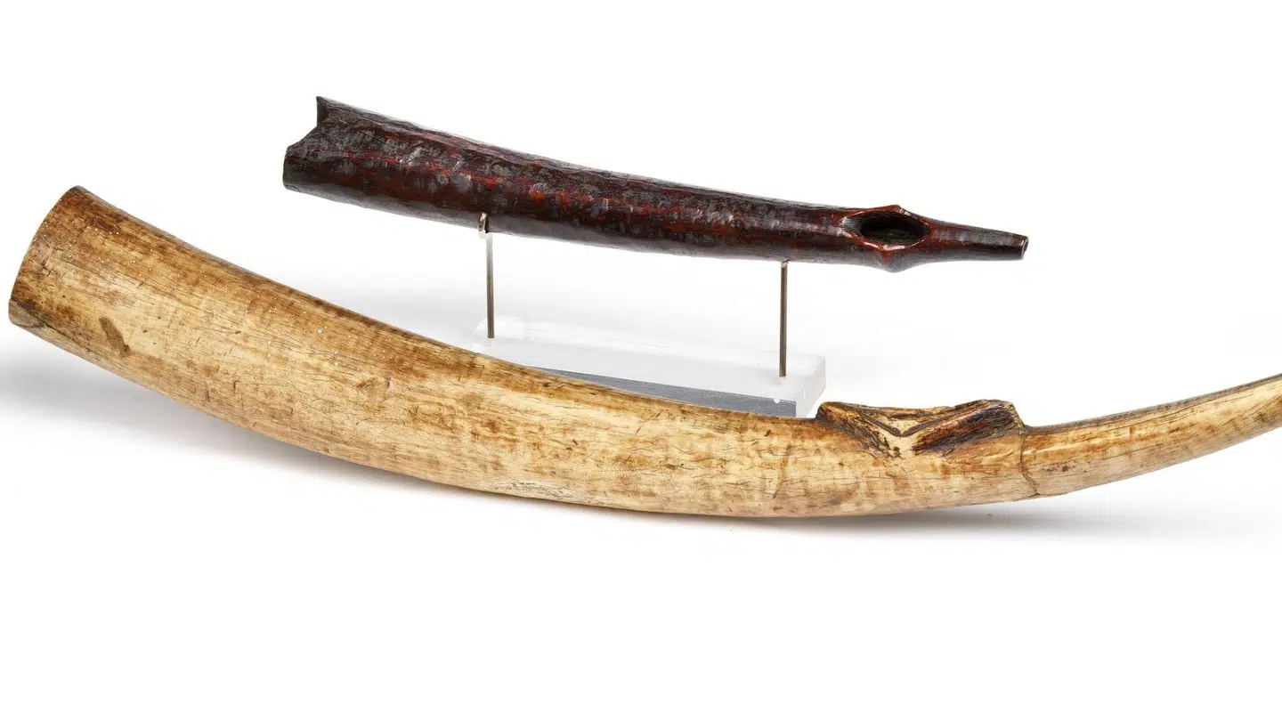 To trompeter i elfenben fra det 20. århundredes begyndelse i D.R. Congo. Den ene måler 33 centimeter, mens den anden er 58. Sælges samlet til en forventet pris omkring 3000 kroner.